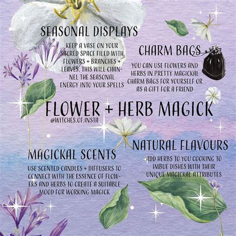 Herbal Magick: Enhancing Spells with a Witch’s Kiss
